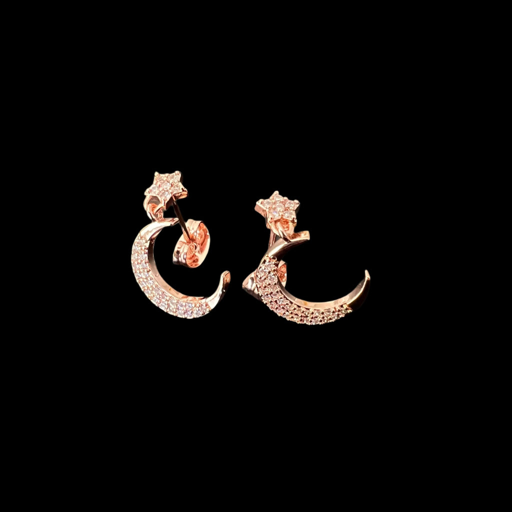 Moon & Star Studs
