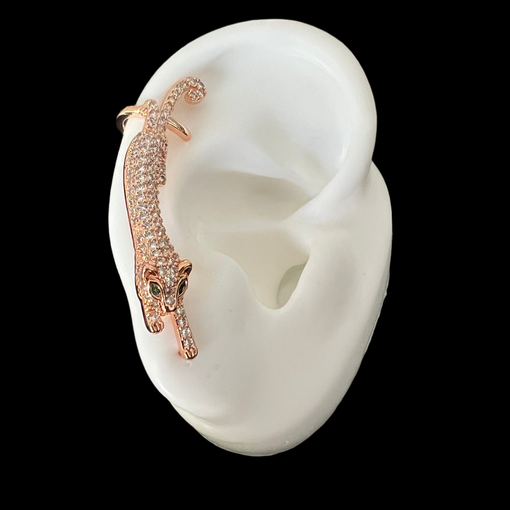 Leopard Ear Crawler