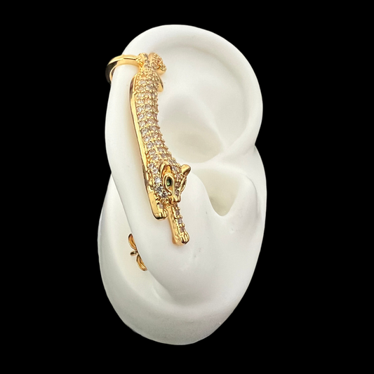 Leopard Ear Crawler