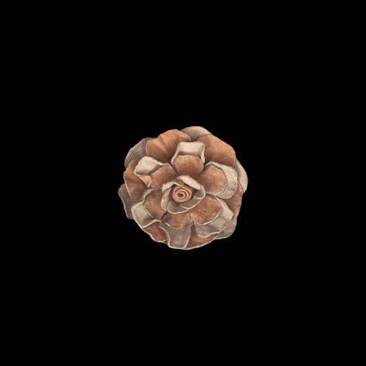 Rose Petal Leather Hair Pin