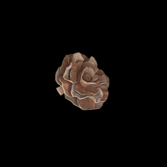 Rose Petal Leather Hair Pin